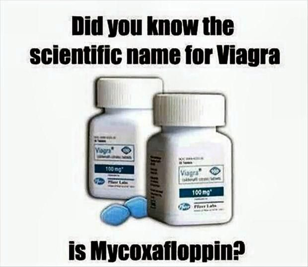 No title needed