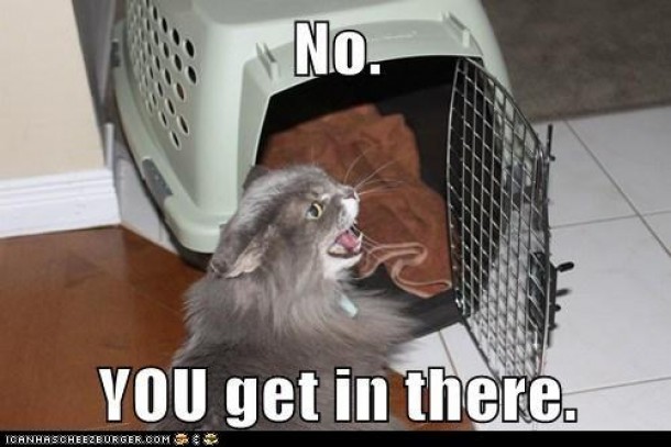 NO YOU get in there