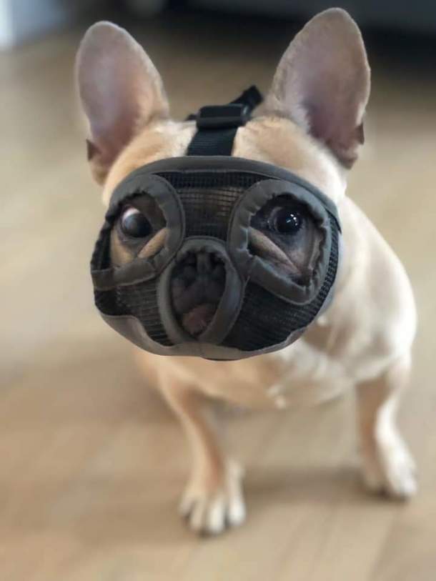Nobody cared who I was until I put on the mask