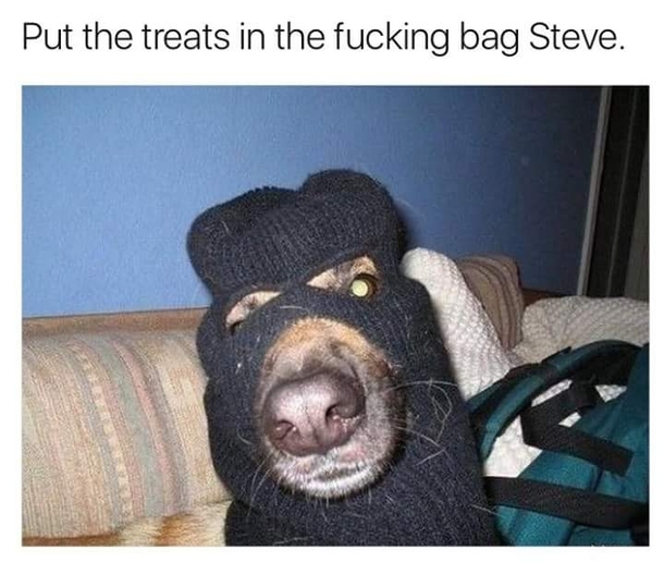 Nobody has to get hurt Steve