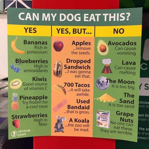 Nom nom