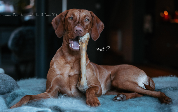 nom nom nom nom nom nom nom nom nom nom nom nom 