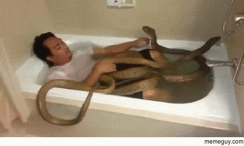 nope nope nope
