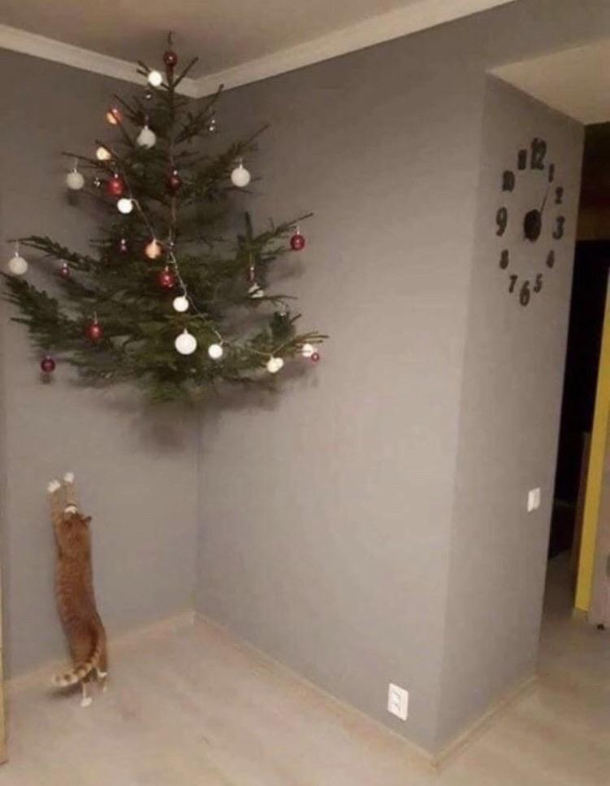 Nope not this year