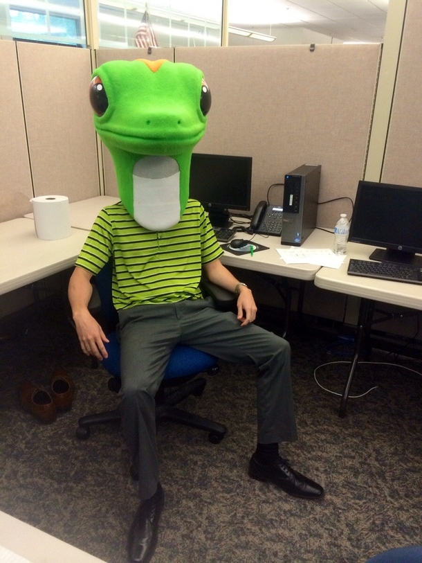 Normal day at work