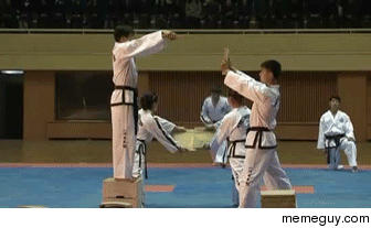 North Korea Taekwondo Demonstration