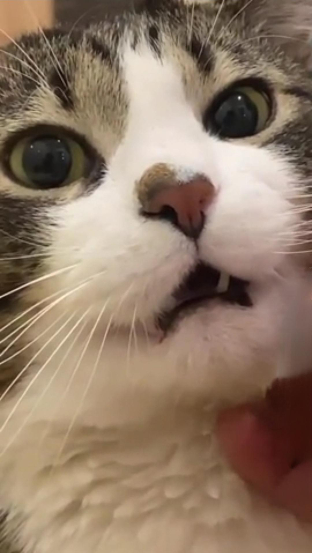 Not a single thought behind these eyes 