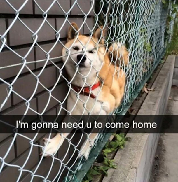 Not again