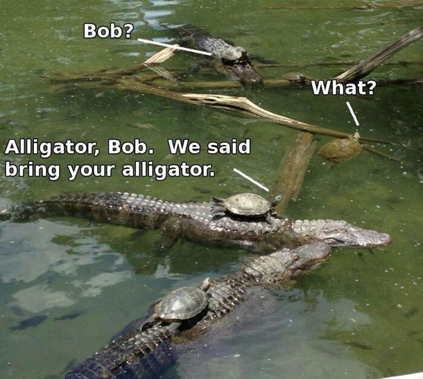 Not again bob 