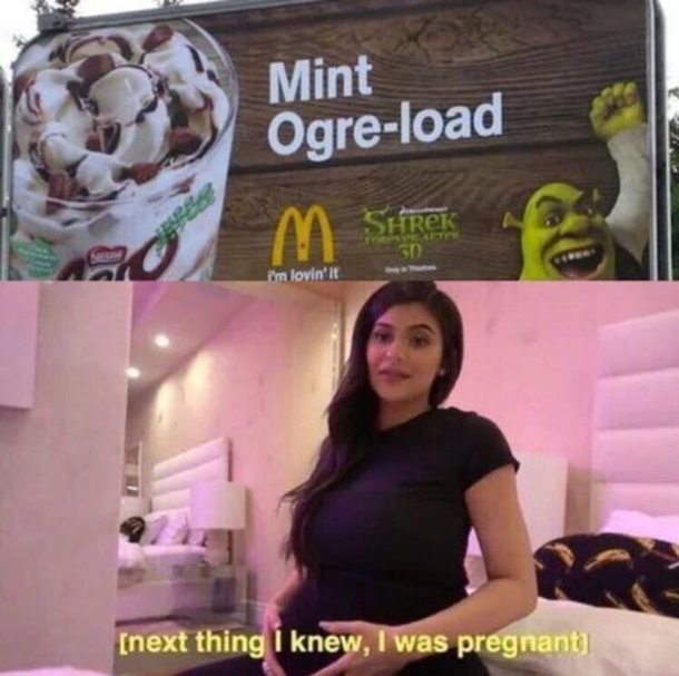 Not Again Shrek