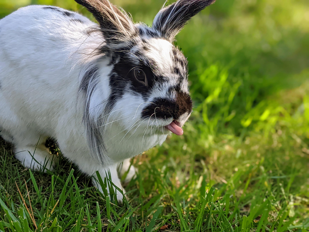 Not amused with Easter photos