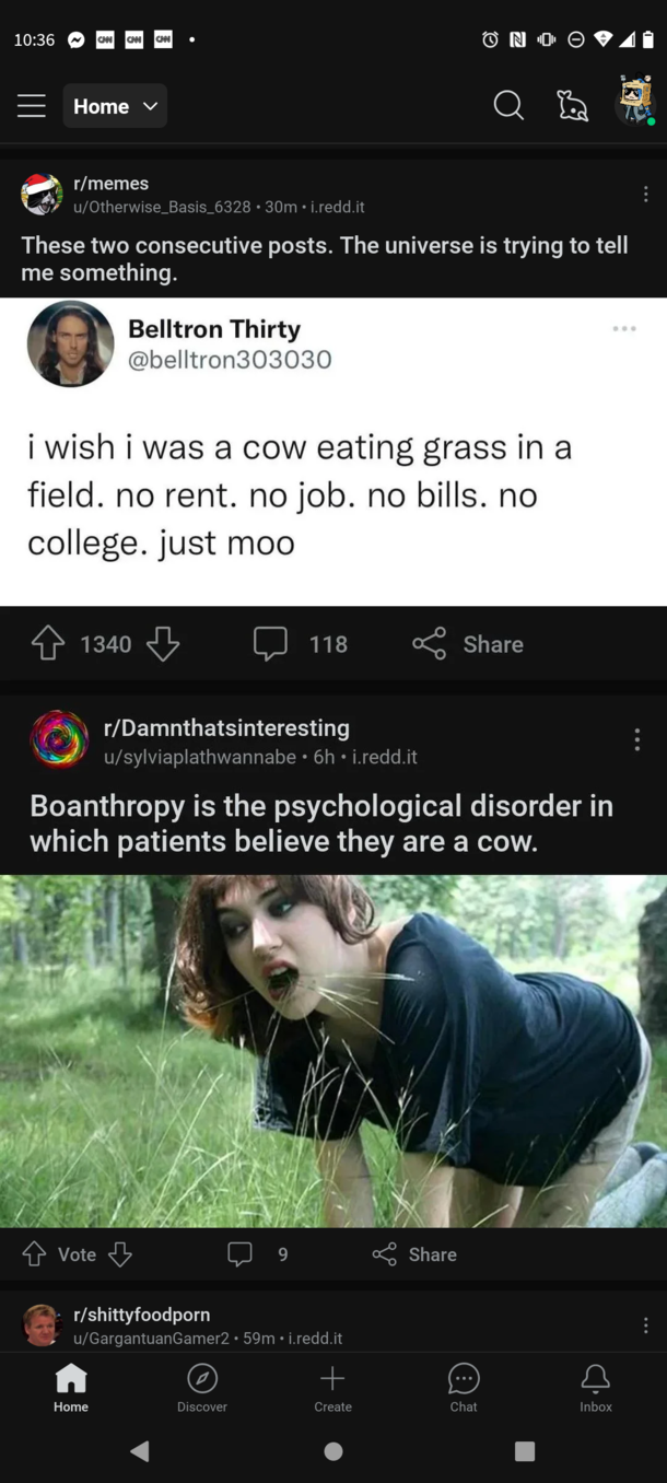 Not as fun as youd think