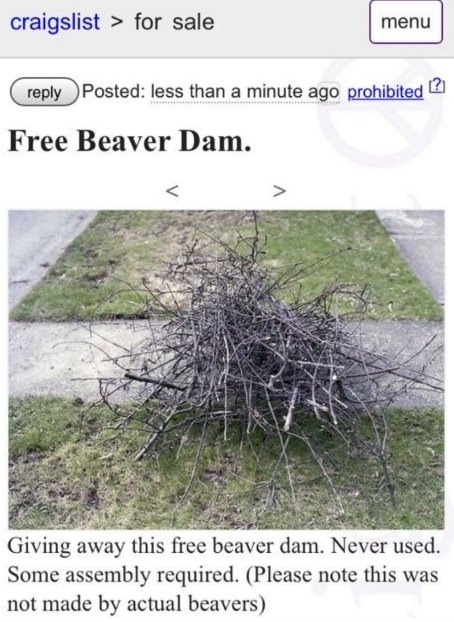 not built by actual beavers