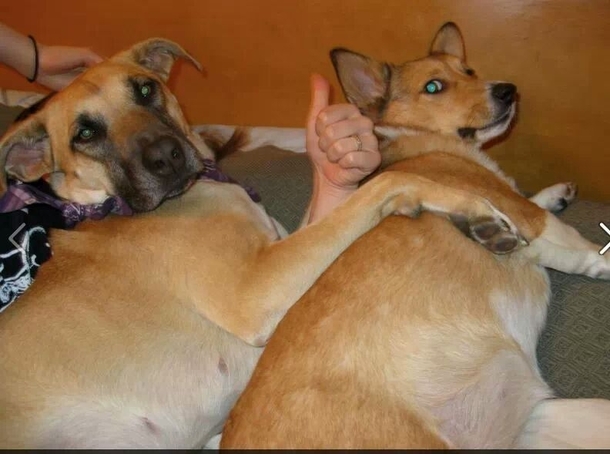 Not even sure what to title this