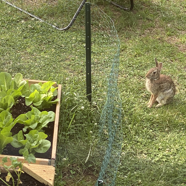 Not everyone is happy about the new fence