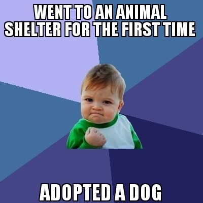 Not having a dog growing up I have always wanted to do this