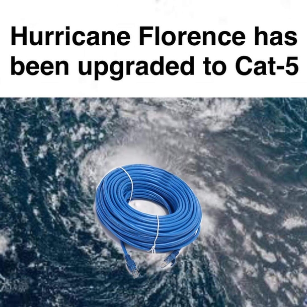Not mine