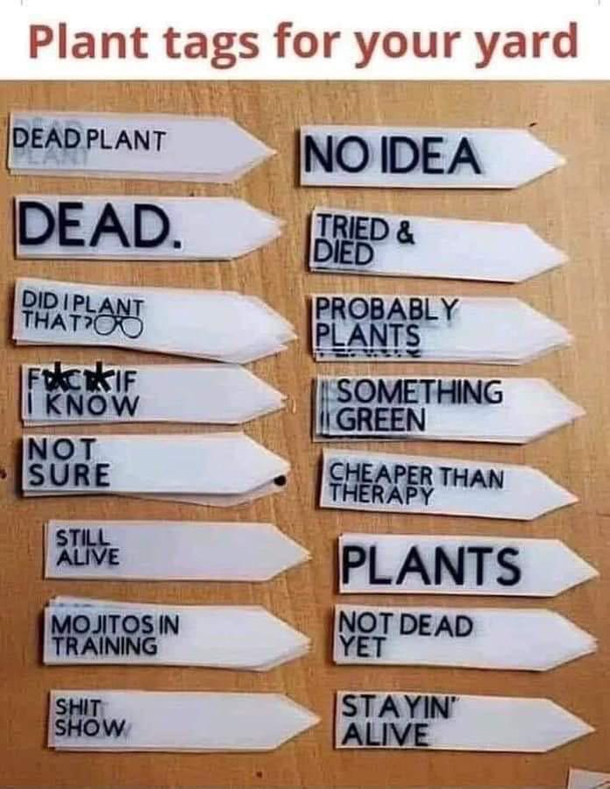 Not mine but describing my gardening skills perfectly