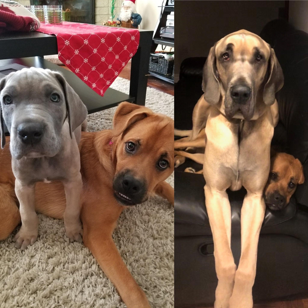 Not much has changed in  years