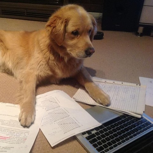 Not now mom I have two lab reports due by midnight