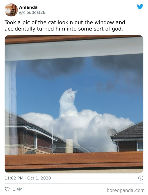 Not some sort of He is the god