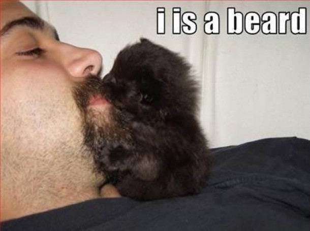 Not sure if this should go here or rneckbeardrights