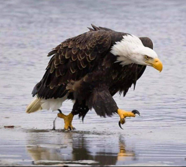 Not sure what her kids did but Im thinking shes sick of them being home all  day  Long