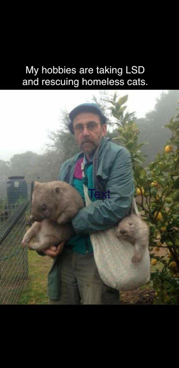 Not sure why i found this so amusingly funny