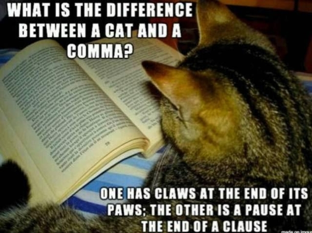 Not that Id ever confuse a cat with a comma but