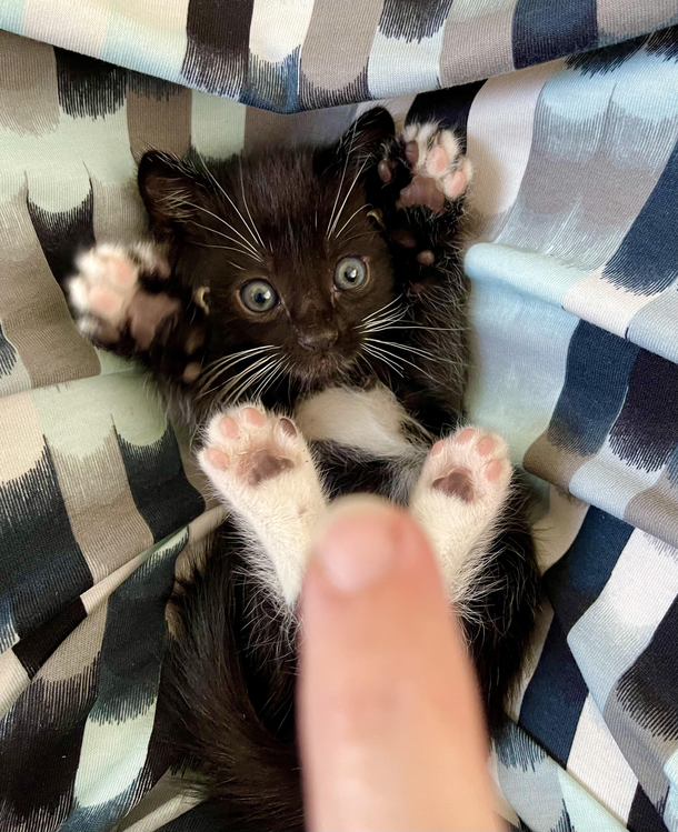 NOT THE FINGER