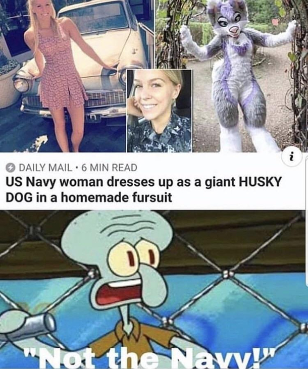NOT THE NAVY