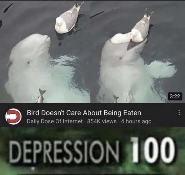 Not the only one tho