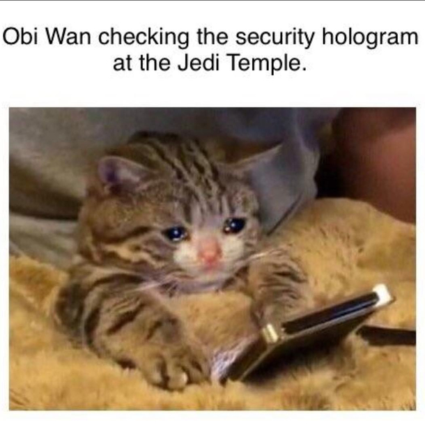 Not the younglings