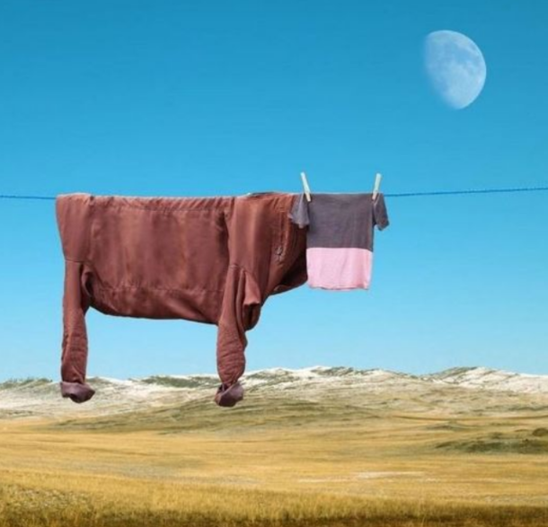 Not vegan