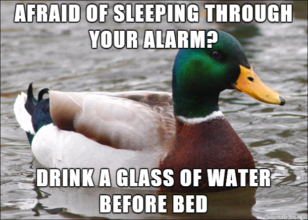 Nothing gets you out of bed like having to pee