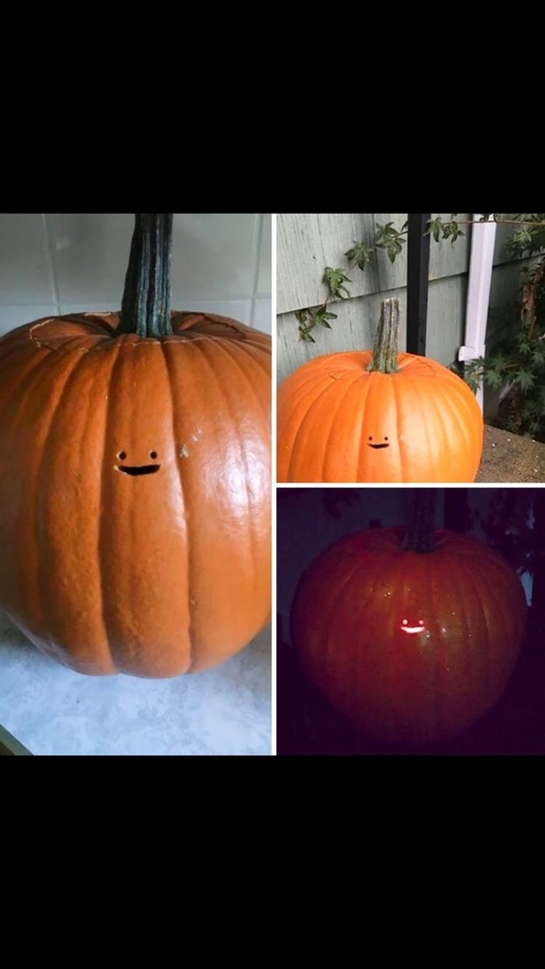 Nothing has made me laugh harder in the past weeks than these pumpkins ...