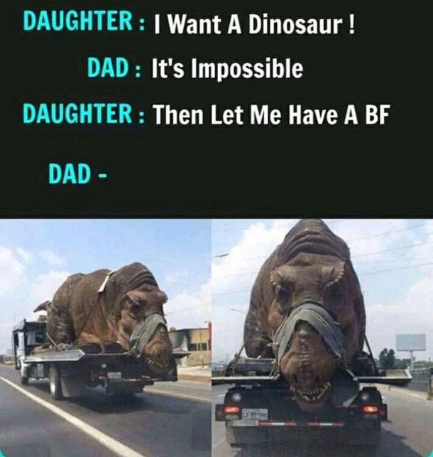 Nothing to see here