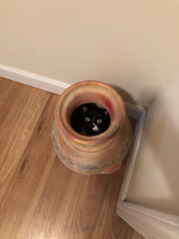 Nothing to see here