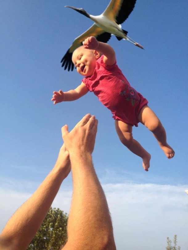 Nothing to see here Just a stork making a delivery