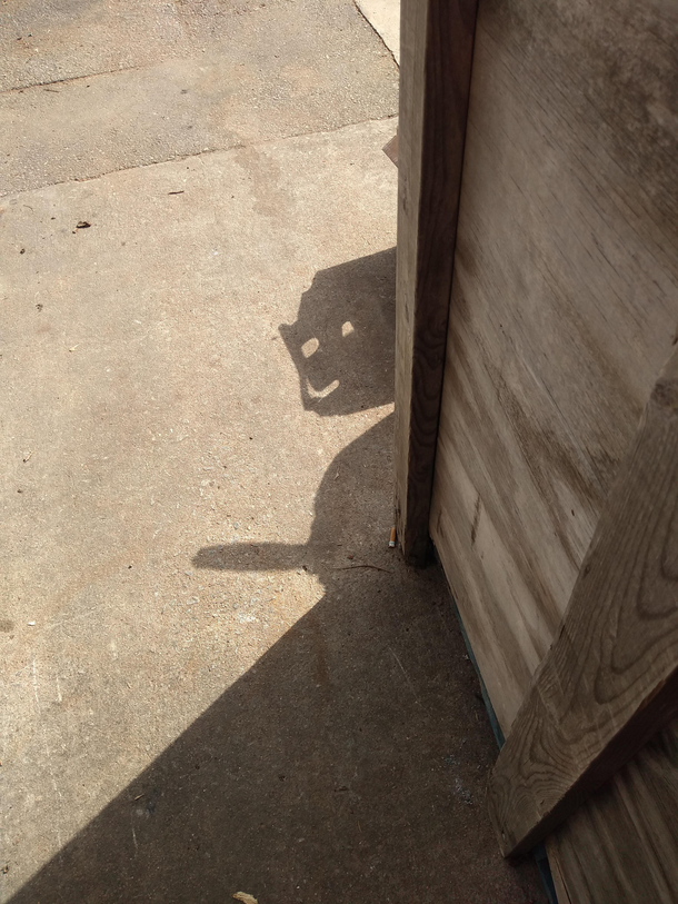 Noticed an interesting shadow at work today