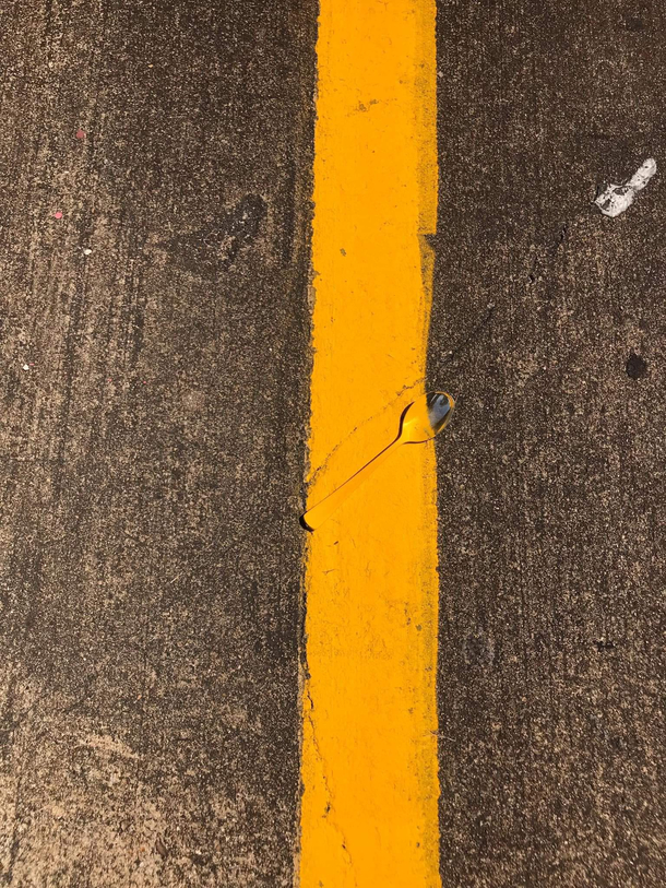 NotMyJob Found in Houston
