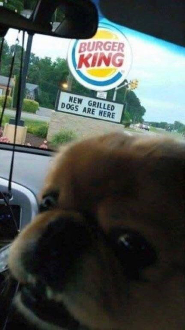 Now he knows