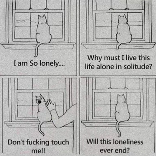 now heres a realistic thought