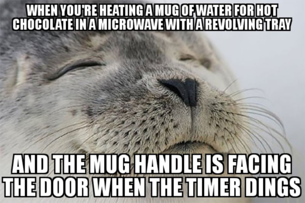 Now I just need marshmallows