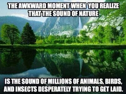 Now that i think about it