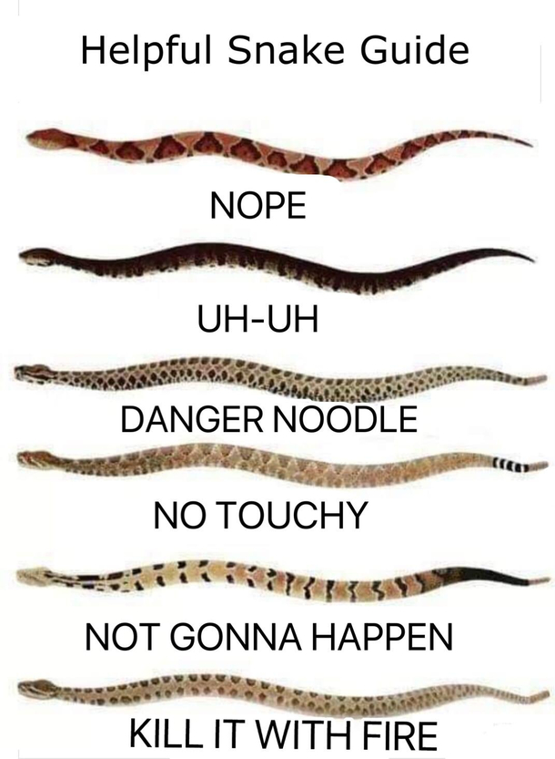 Now that its Springtime know your snakes