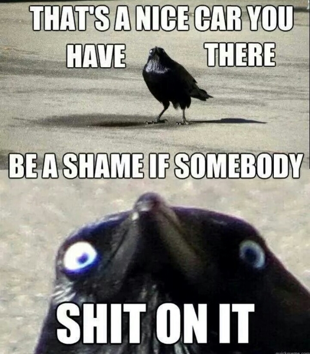 now that spring is here