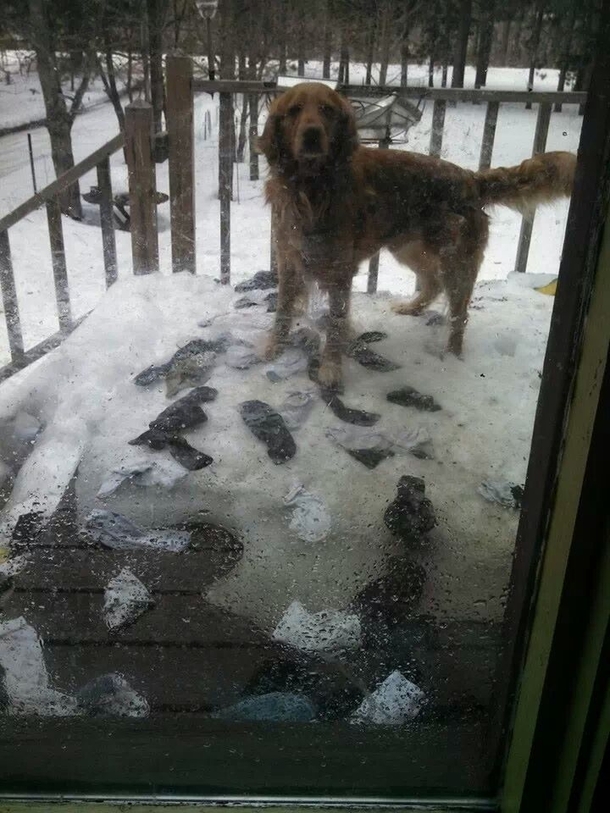 Now that the snow is melting Ive finally figured out where all my socks have gone