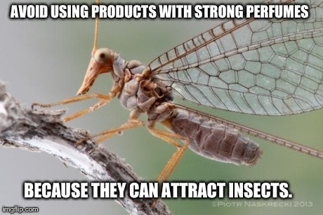 Now that the weather is warming up I present Actual Advice Weird Monster Duck Faced Mutant Scorpion Fly Thing