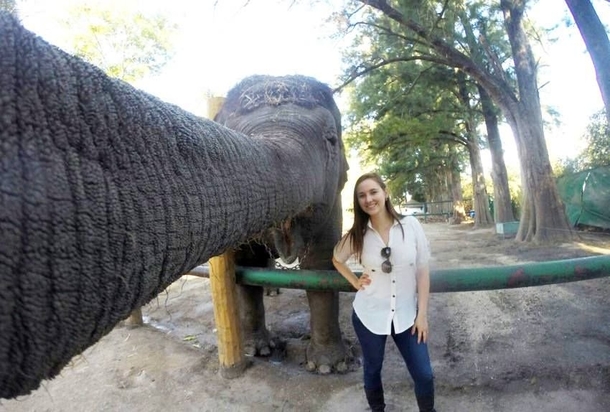 Now THATS a selfie